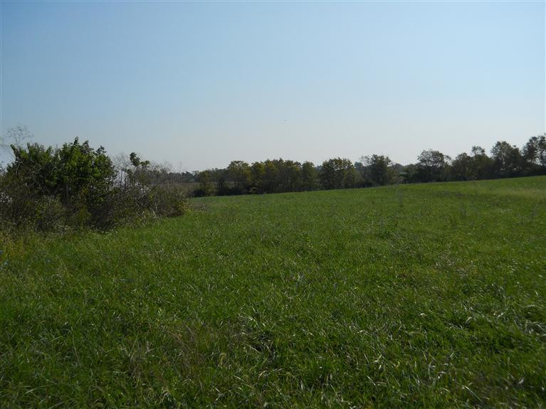 1560 Ruddles Mill Road Paris, KY 40361 - Photo 6 of 7 Photo 6