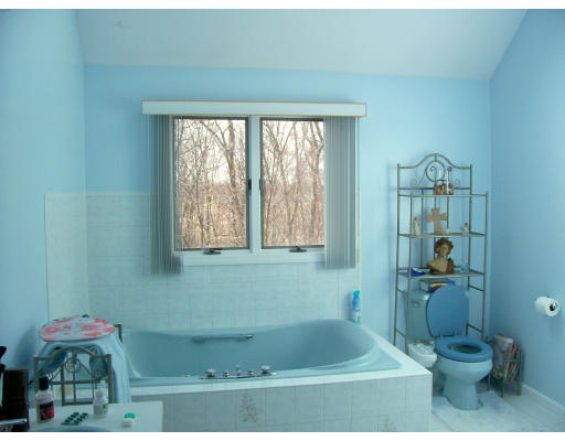 46 Azalea Road Sharon, MA 02067 - Photo 23 of 28 a bathroom with a toilet and a shower