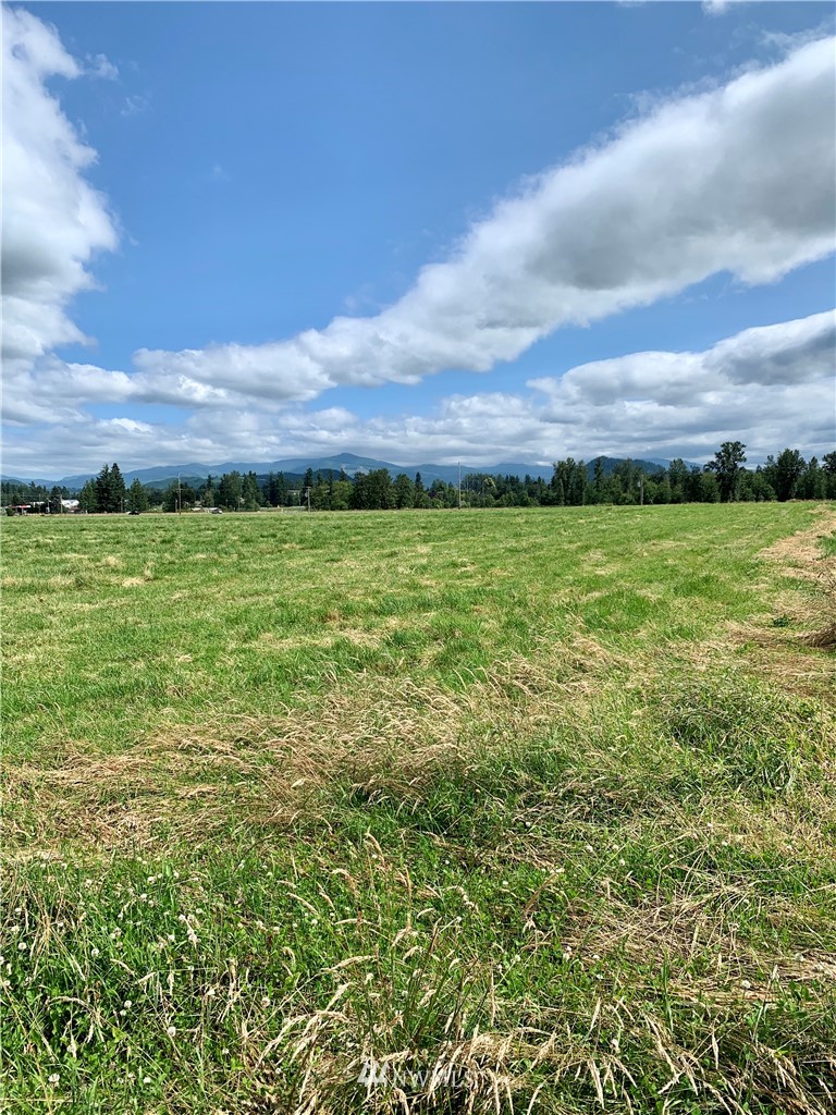 0 Southeast 416th Street Enumclaw, WA 98022 - Photo 3 of 5