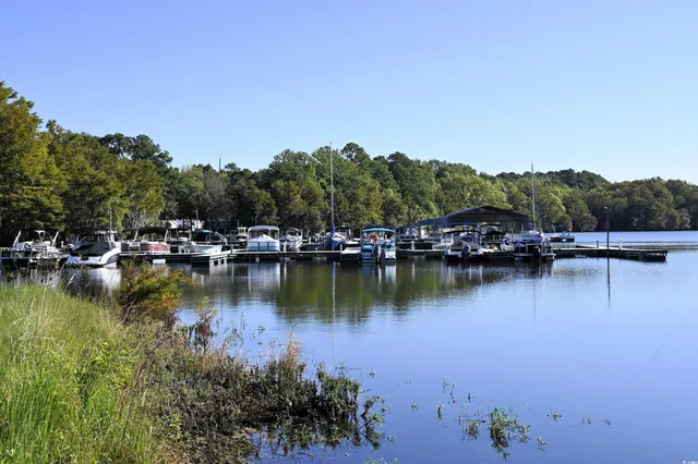 $345,000 | 1090 Bridgeview Lane, Unit A201, Summerton, SC 29148