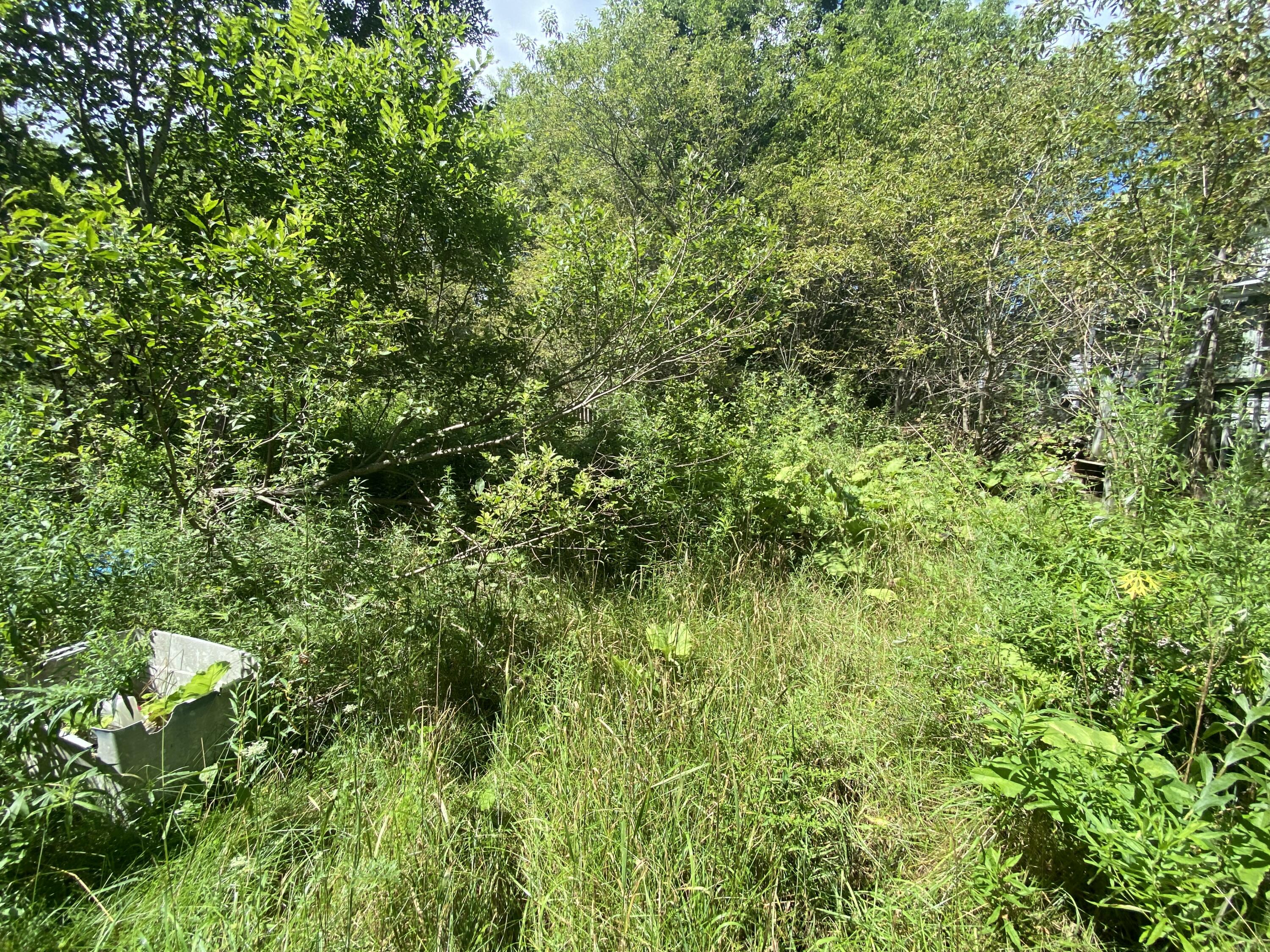 561 Unity Road Waterville, ME 04901 - Photo 6 of 6 IMG_2477