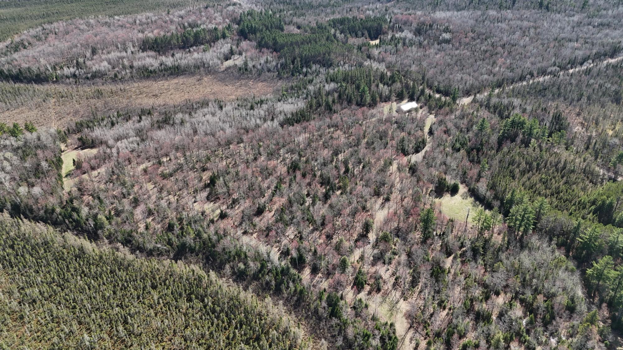N8506 Swamp Road Tomahawk, WI 54487 - Photo 16 of 31 Gallery Image 16