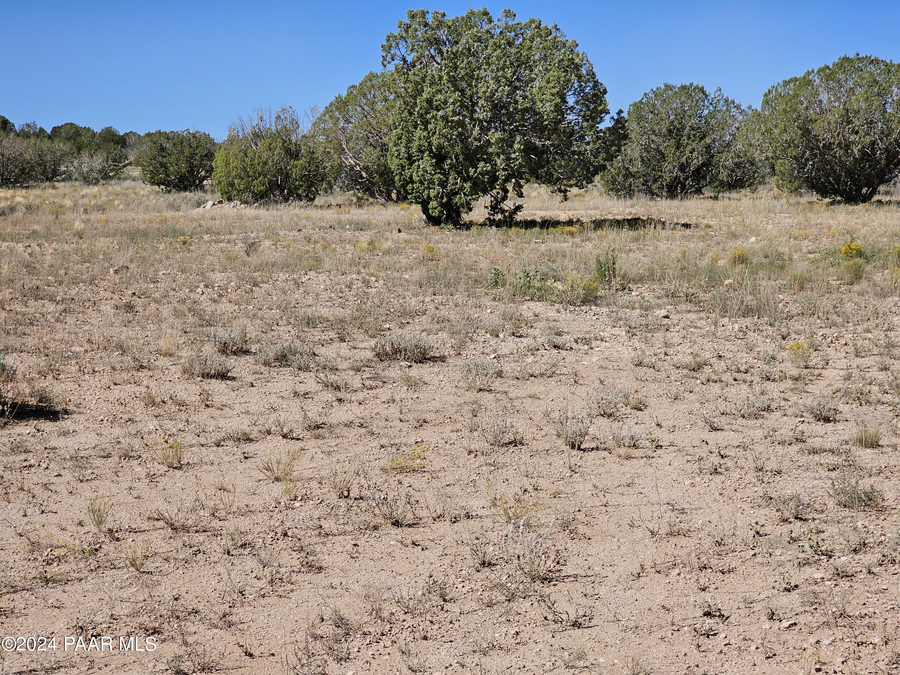 1340 Sweet Valley Road Paulden, AZ 86334 - Photo 11 of 21 1340cg