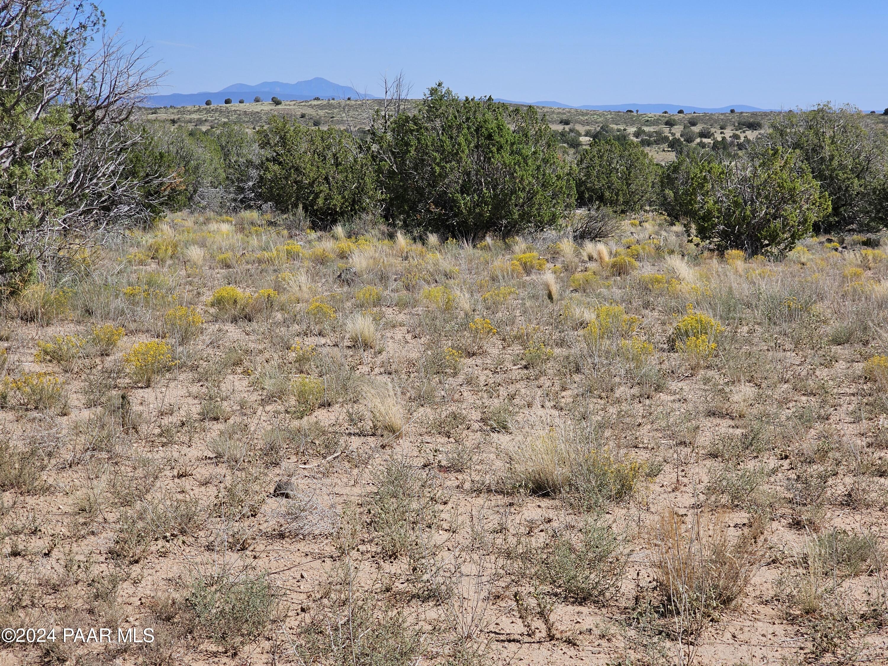 1340 Sweet Valley Road Paulden, AZ 86334 - Photo 5 of 21 1340br