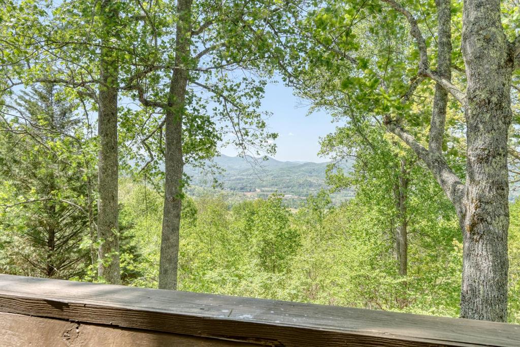980 Mining Gap Road Young Harris, GA 30582 - Photo 32 of 70 a view of a garden from a window