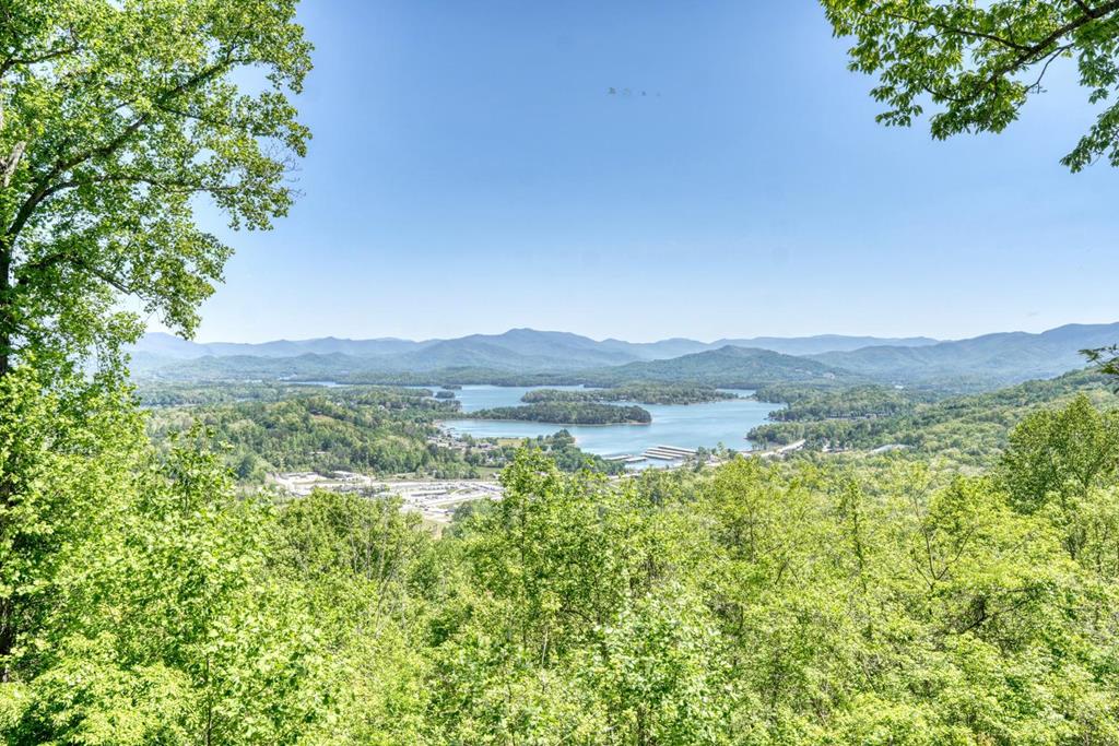 980 Mining Gap Road Young Harris, GA 30582 - Photo 56 of 70 a view of lake with mountain