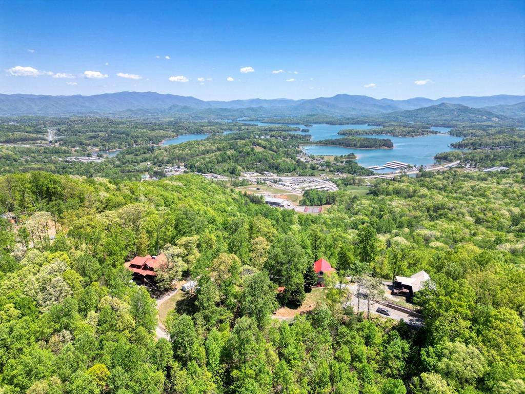 980 Mining Gap Road Young Harris, GA 30582 - Photo 6 of 70