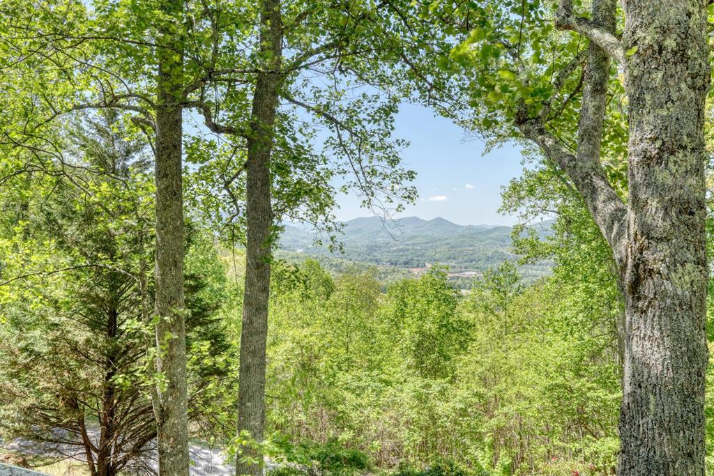 980 Mining Gap Road Young Harris, GA 30582 - Photo 64 of 70