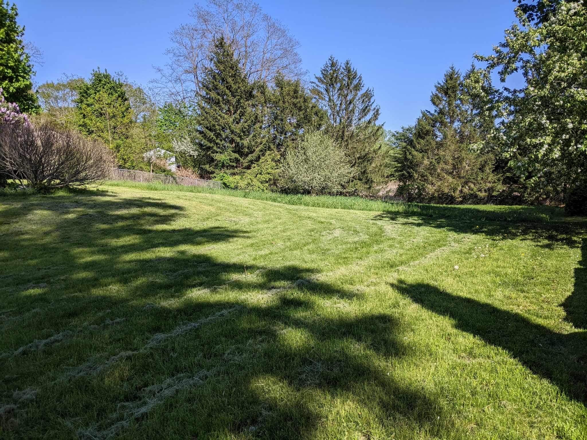 211 Allen Avenue Portland, ME 04103 - Photo 30 of 31 Backyard 5