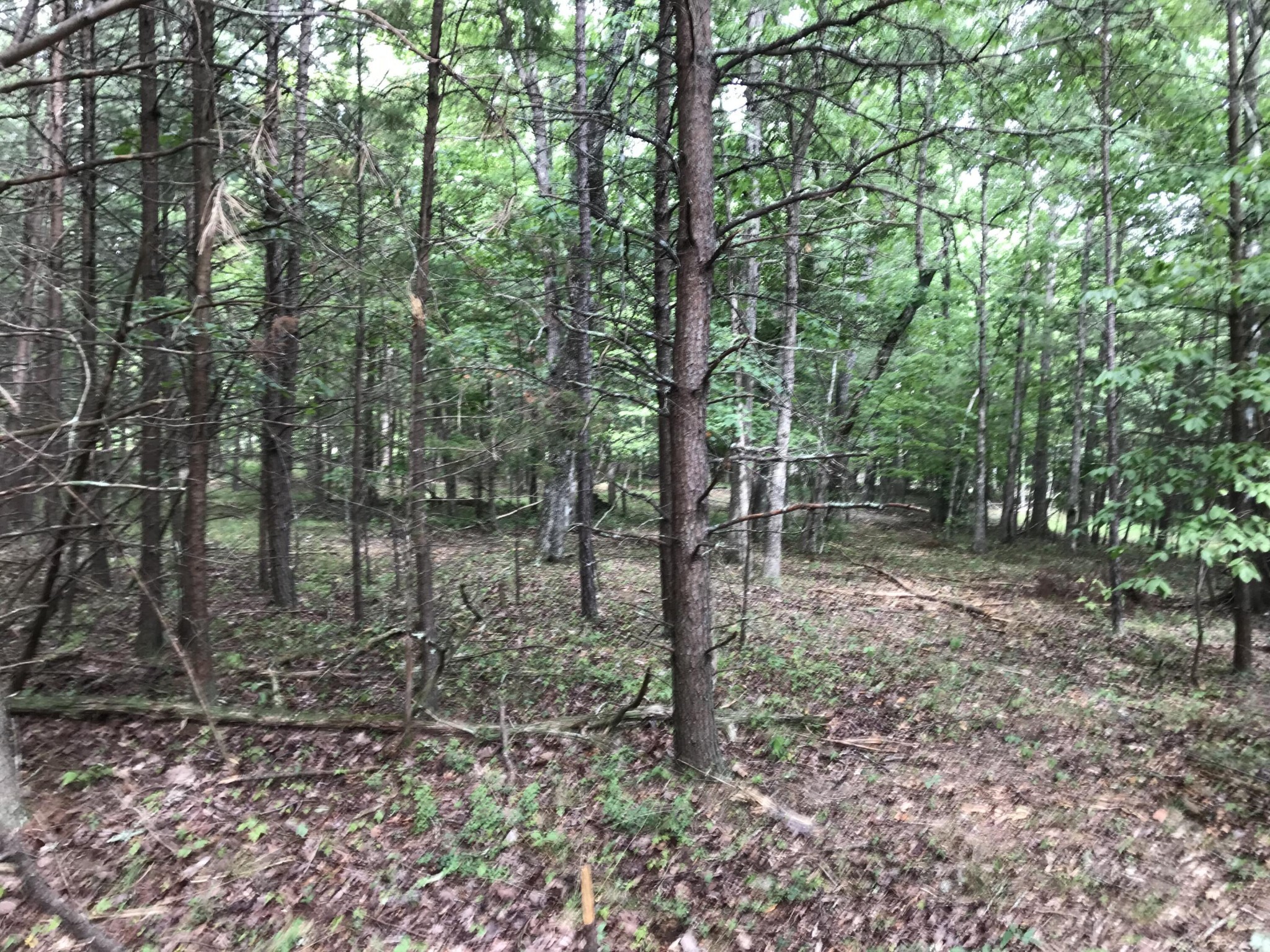 0 Quail Trail Dunlap, TN 37327 - Photo 17 of 36