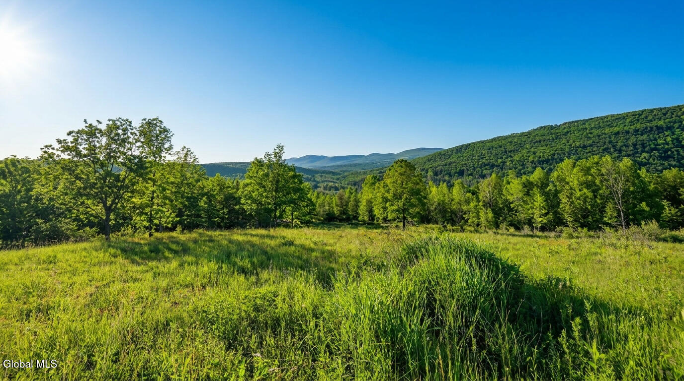 L10.10 Cheese Hill Road Preston Hollow, NY 12469 - Photo 10 of 56 10.10-Cheese-Hill-Rd-Rensselaerville-ext
