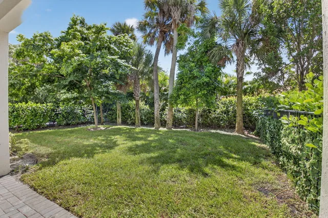 a view of a lush green space