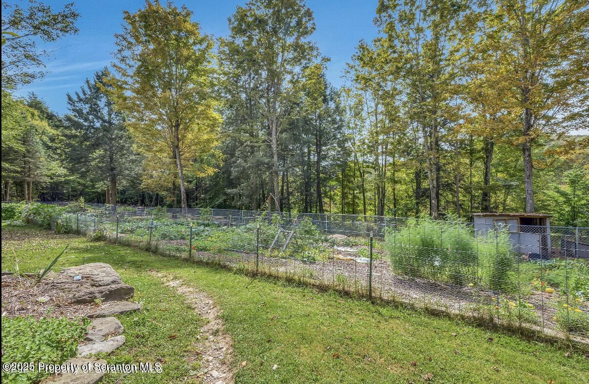 9311 Highway 3004 Springville, PA 18844 - Photo 39 of 51 a view of a park with a tree