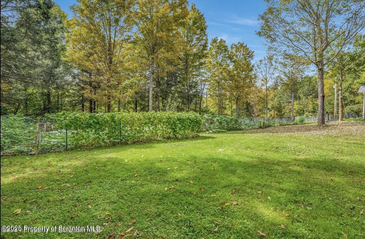9311 Highway 3004 Springville, PA 18844 - Photo 40 of 51 a view of a grassy field with trees