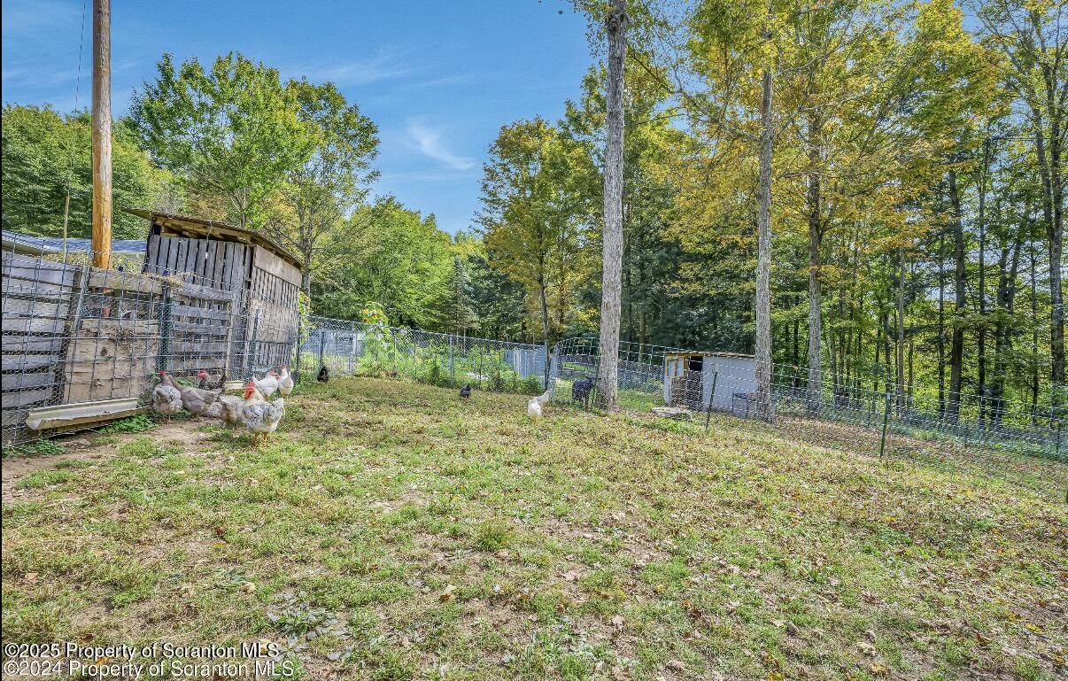 9311 Highway 3004 Springville, PA 18844 - Photo 42 of 51 a view of backyard with tree