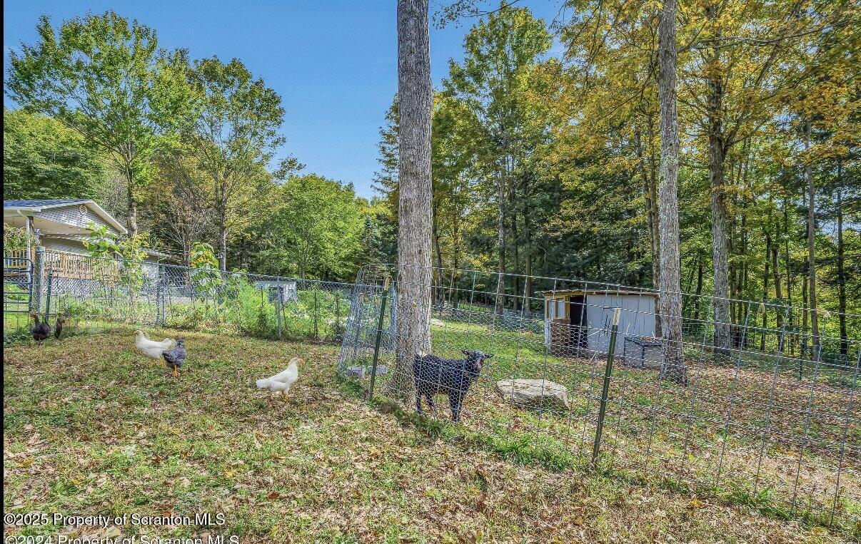 9311 Highway 3004 Springville, PA 18844 - Photo 43 of 51 a backyard of a house with lots of green space