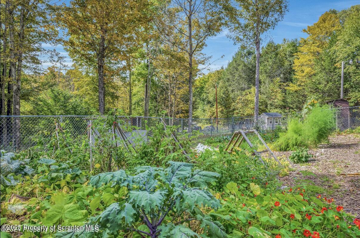 9311 Highway 3004 Springville, PA 18844 - Photo 45 of 51 a backyard of a house with lots of green space and trees all around