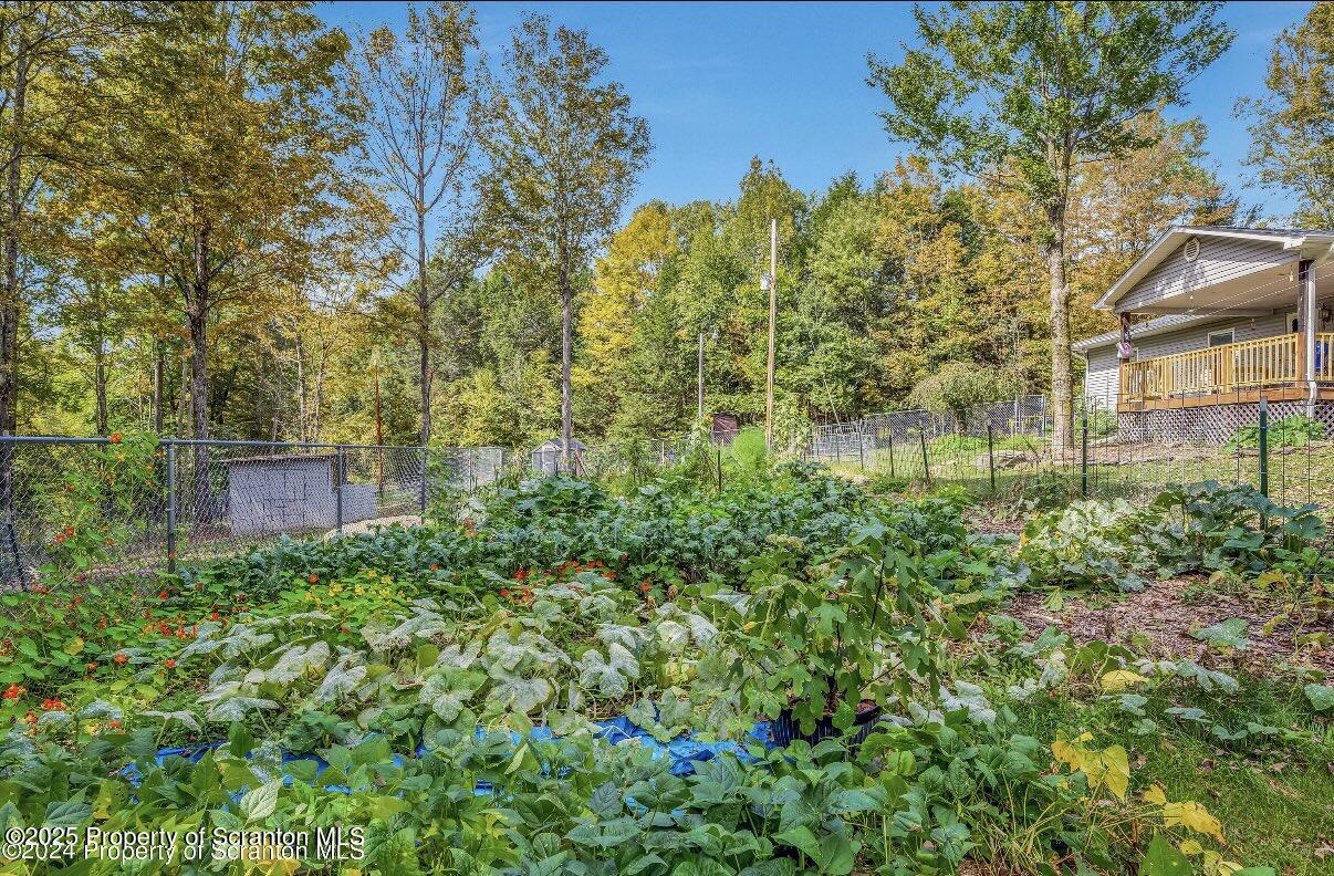 9311 Highway 3004 Springville, PA 18844 - Photo 6 of 51 a view of a garden with plants
