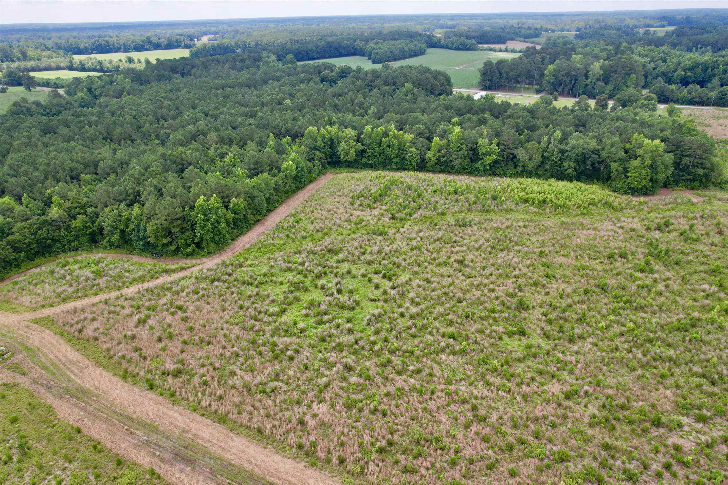 0 Powell Rd Green Green Sea, SC 29545 - Photo 64 of 72