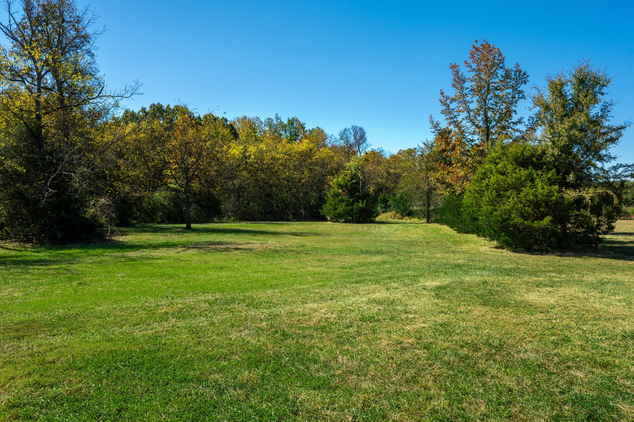 1591 North Lovvorn Road Christiana, TN 37037 - Photo 9 of 62 a view of a grassy field