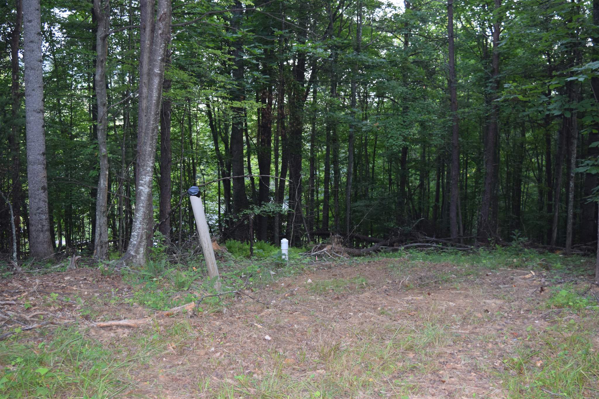 Epperly Mill Road Southwest Floyd, VA 24091 - Photo 7 of 15 Gallery Image 7