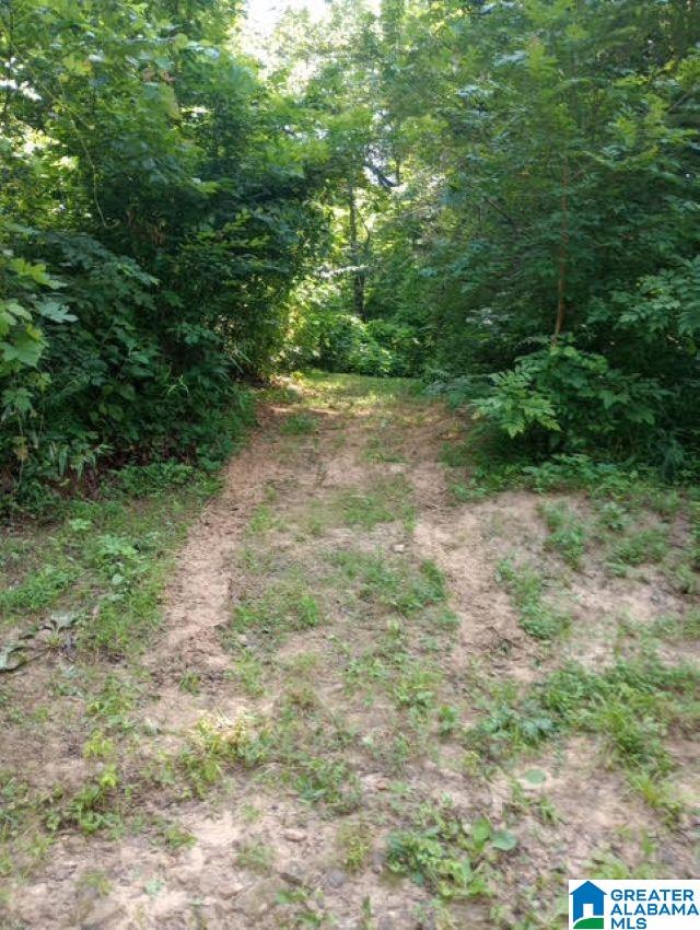 5100 Washington Valley Road, Unit PARCEL #1 Springville, AL 35146 - Photo 9 of 20
