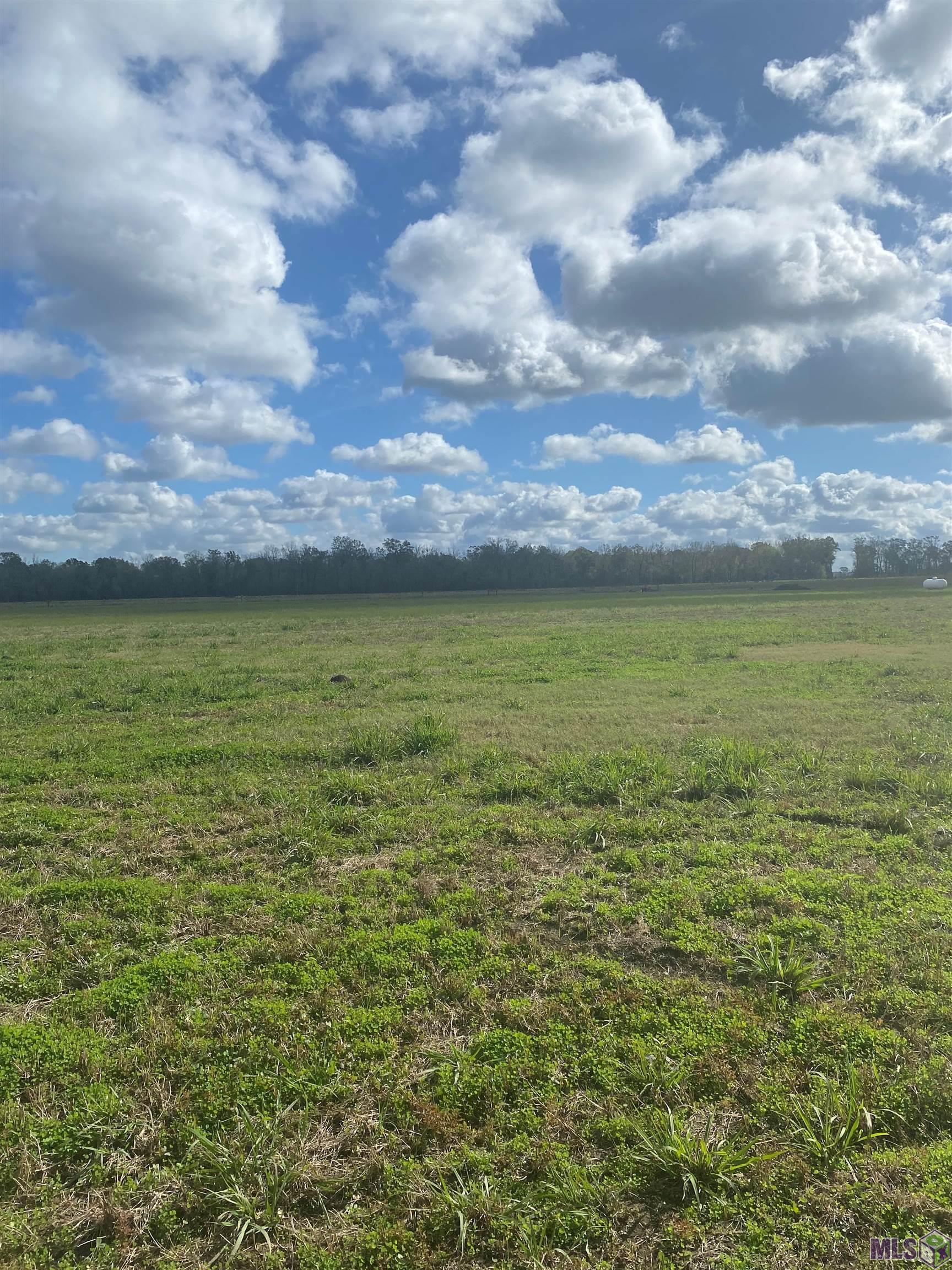 70 Plattenville La Plattenville, LA 70393 - Photo 1 of 1