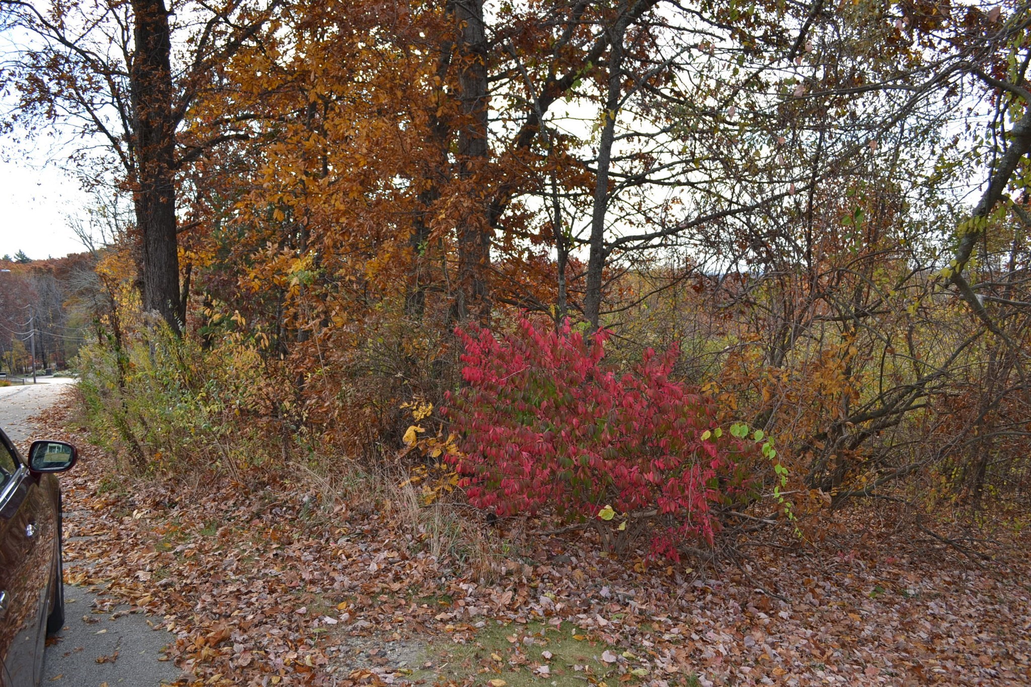 Lot 009 Piasta Road Dudley, MA 01571 - Photo 1 of 5 Gallery Image 1