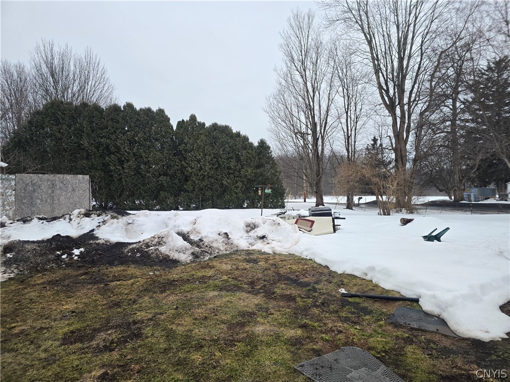 Side yard