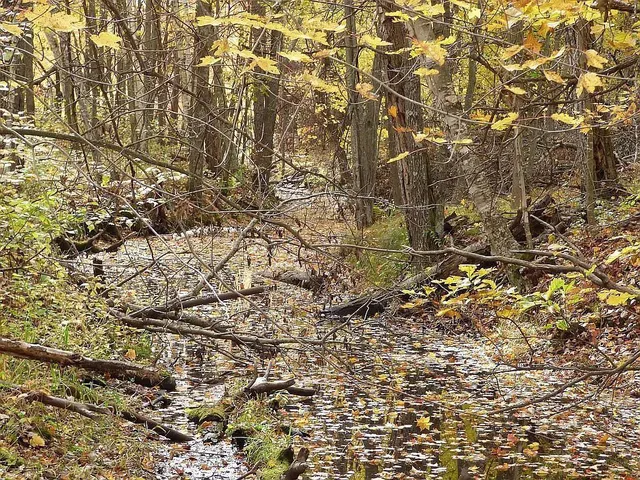 $275,000 | 22519 County Road 3, Nisswa, MN 56468