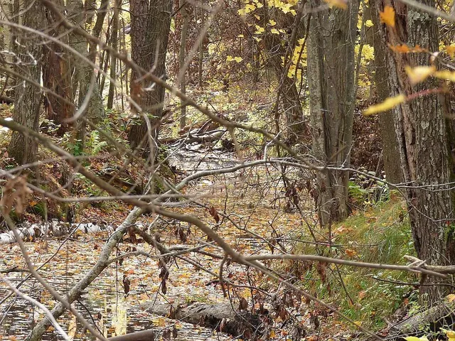 $275,000 | 22519 County Road 3, Nisswa, MN 56468