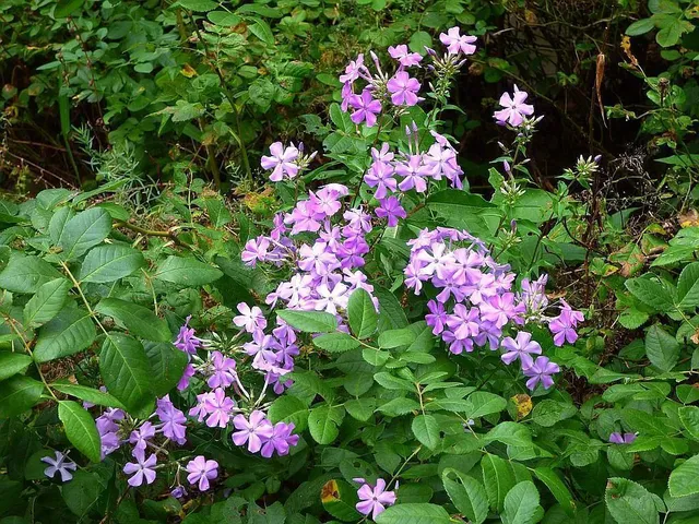 $275,000 | 22519 County Road 3, Nisswa, MN 56468