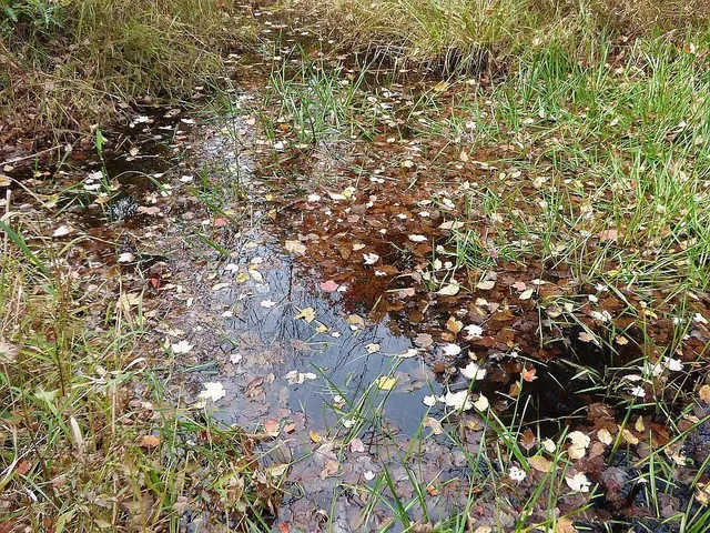 $275,000 | 22519 County Road 3, Nisswa, MN 56468