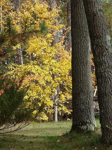 $275,000 | 22519 County Road 3, Nisswa, MN 56468