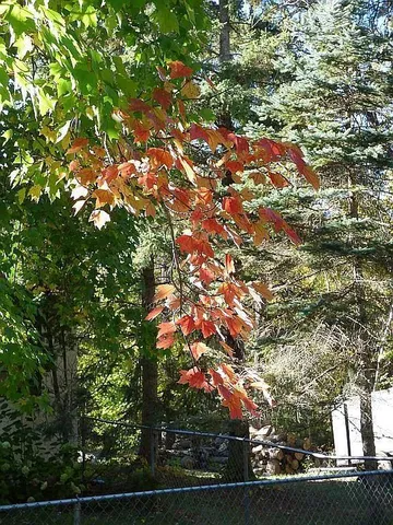 $275,000 | 22519 County Road 3, Nisswa, MN 56468