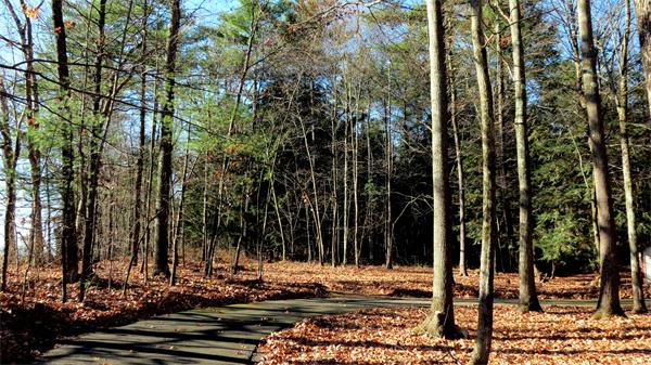 75 West Gill Road Gill, MA 01354 - Photo 8 of 14