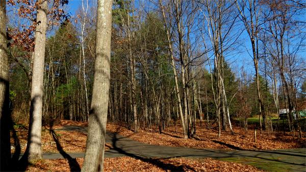 75 West Gill Road Gill, MA 01354 - Photo 9 of 14