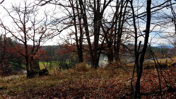 75 West Gill Road Gill, MA 01354 - Photo 10 of 14