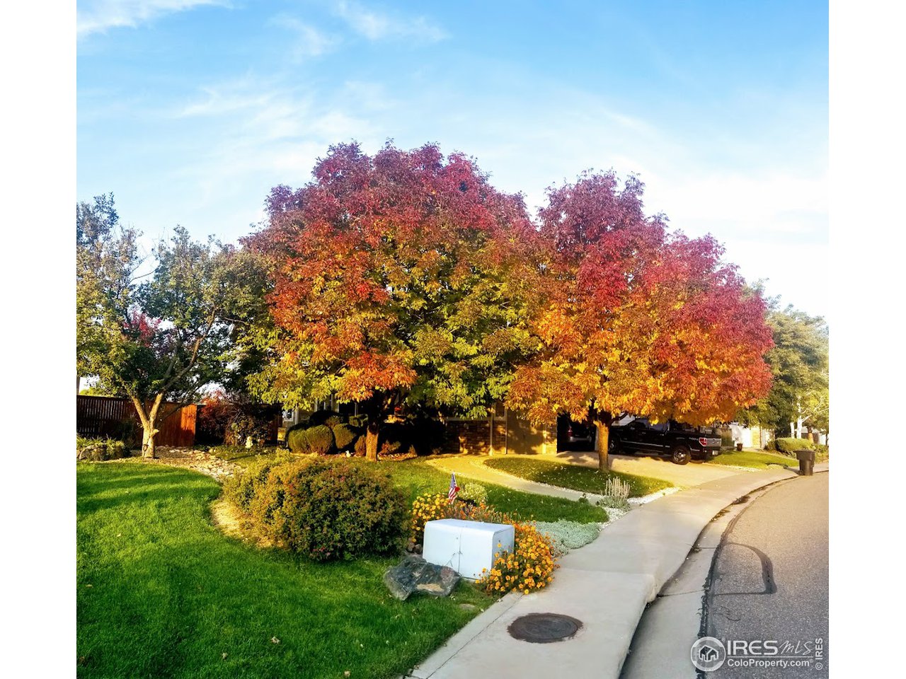 709 Glenarbor Circle Longmont, CO 80504 - Photo 38 of 40 a front view of a house with a yard