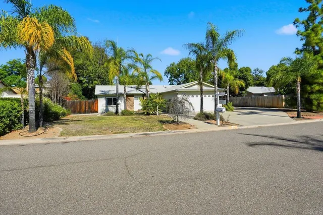 a house with palm tree in front of it