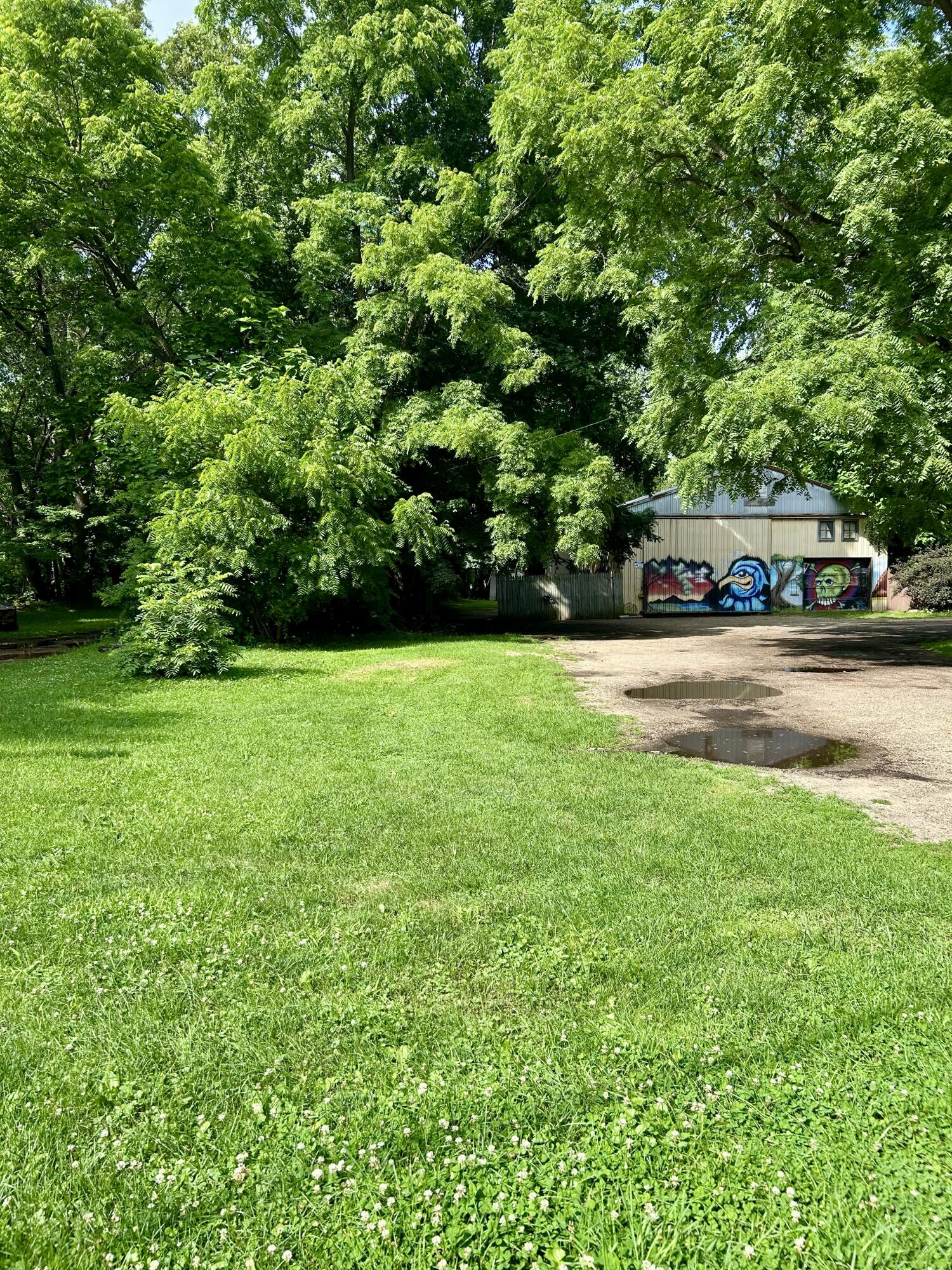 210 5th Avenue Three Rivers, MI 49093 - Photo 5 of 31 IMG_1351