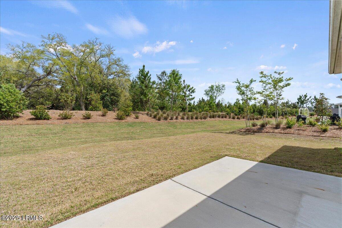 322 Destiny Drive Okatie, SC 29909 - Photo 26 of 49 26-Backyard