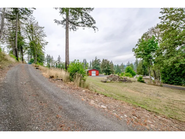 a view of a field with trees in the background