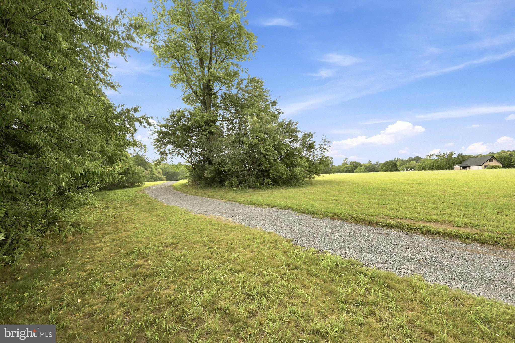 150 Holiday Road Cross Junction, VA 22625 - Photo 65 of 97 Walking trails behind the home