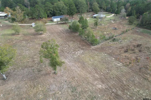 a view of a forest with water fountain