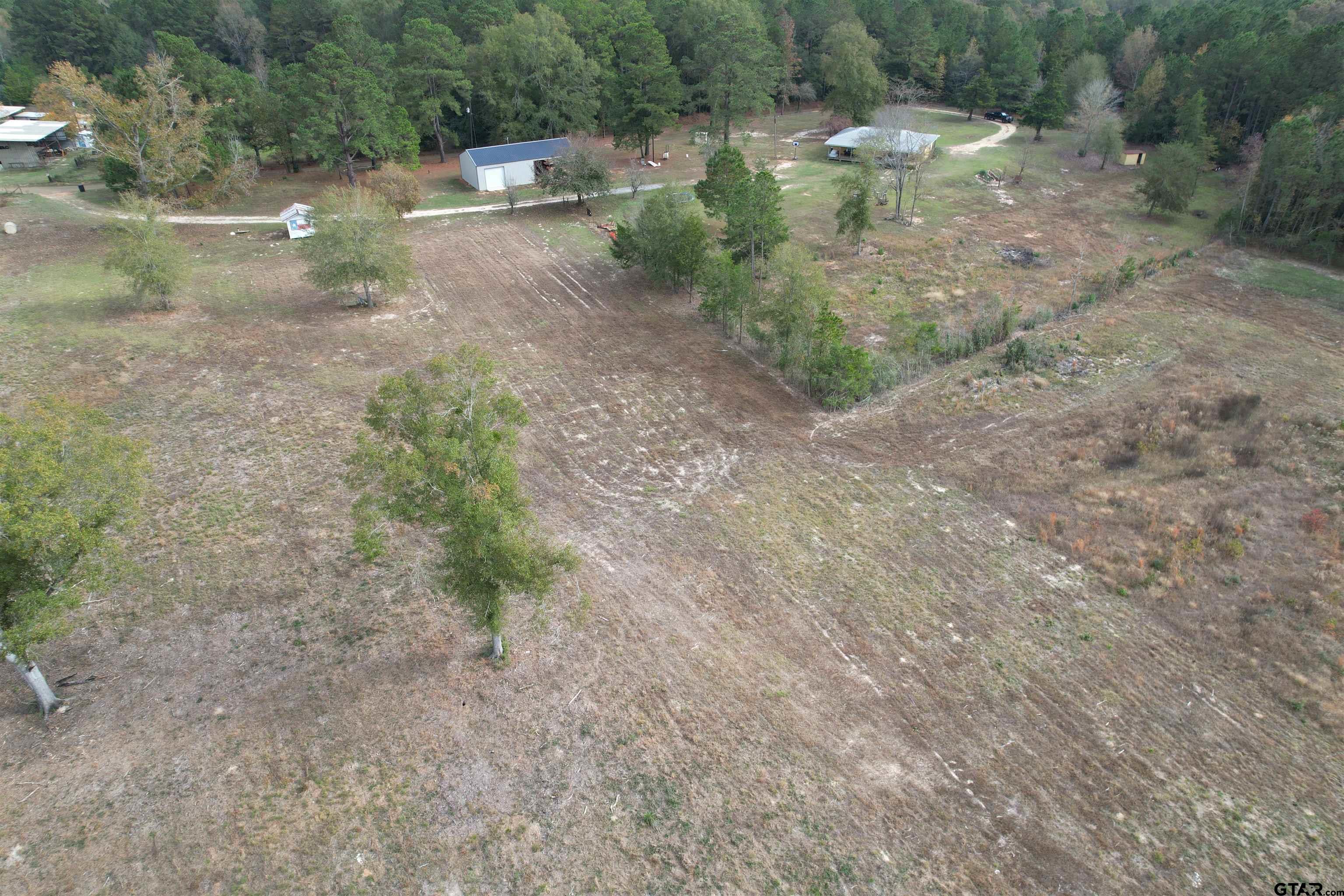 a view of a forest with water fountain