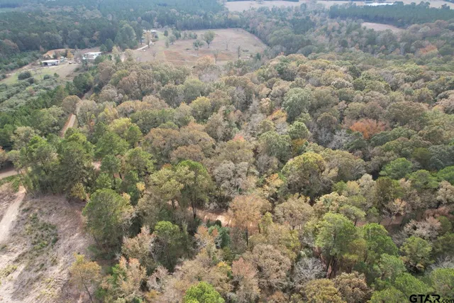 a view of a forest with a houses