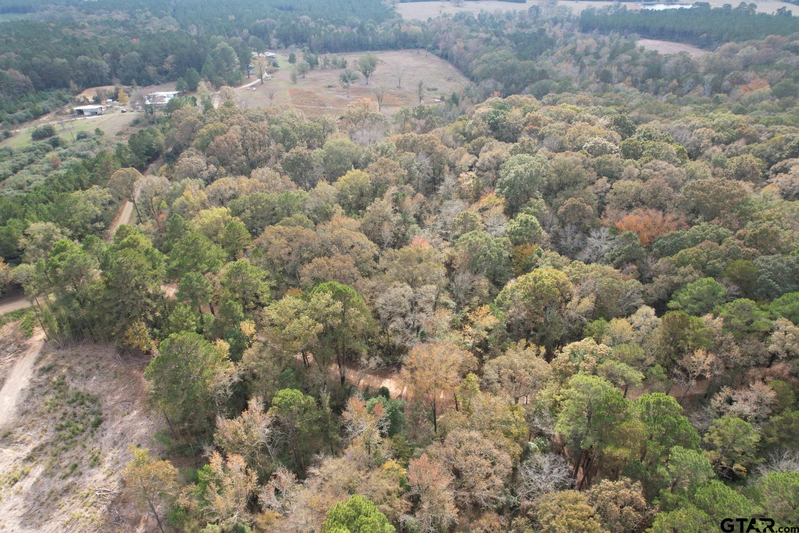 1271 County Road 3685 Joaquin, TX 75954 - Photo 14 of 46 a view of a dry yard