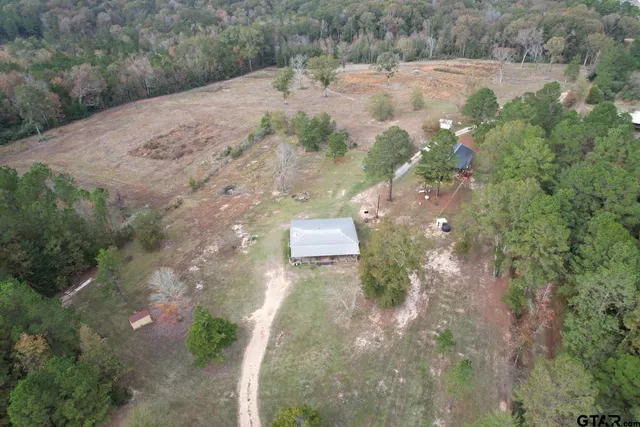 a close up of a plant in a garden