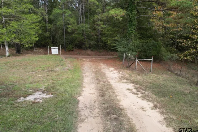a view of a pathway both side of yard